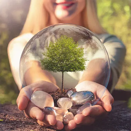 Eco-friendly initiative by Gems Ritual: planting trees and promoting harmony between nature and beauty