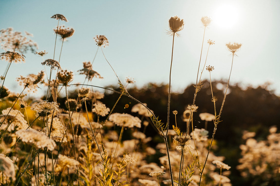 Morning Crystal Rituals: 5 Ways to Start Your Day with Positive Energy