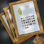 Birthstone Stones Crystal Decor for Zodiac & Astrology Lovers - Gems Ritual
