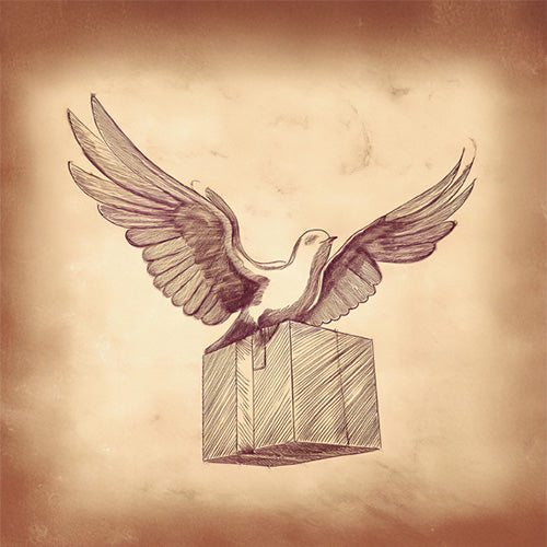 Illustration of a flying dove carrying a package, symbolizing free shipping on all orders