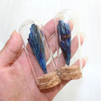 Mystical Black Tourmaline Crystal Encased in Glass – A Symbol of Energy Protection - Gems Ritual
