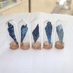Mystical Black Tourmaline Crystal Encased in Glass – A Symbol of Energy Protection - Gems Ritual
